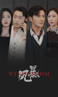 风暴(77集) 风暴(77集)大结局一气呵成