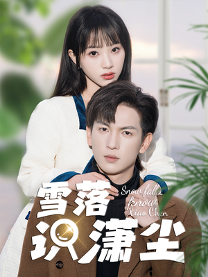 雪落识潇尘(80集) 雪落识潇尘(80集)全集一次看完