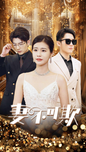 妻无可欺（85集）1-102集