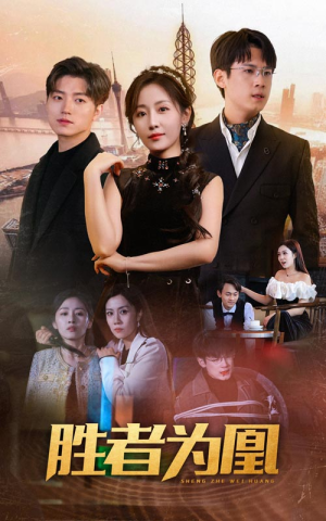 胜者为凰(89集) 胜者为凰(89集)免费版