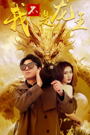 我不是龙王（80集）网盘在线观看