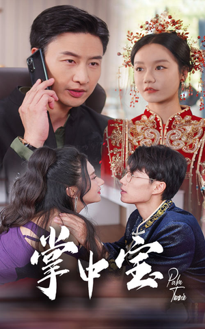 掌中宝（31集）短剧热门合集