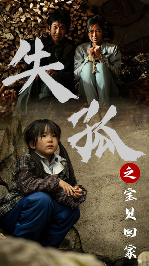 失孤之宝贝回家(71集) 失孤之宝贝回家(71集)最热短剧推荐