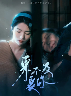 来不及爱你（80集）第一季