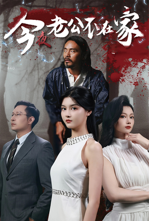 今夜老公不在家（44集）短剧精彩绝伦
