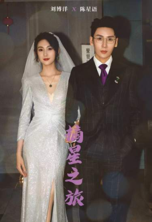 摘星之旅(88集) 摘星之旅(88集)男主角是谁