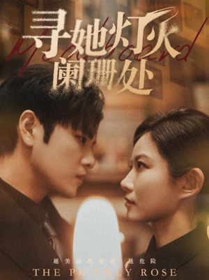 寻她灯火阑珊处(61集) 寻她灯火阑珊处(61集)在哪里看