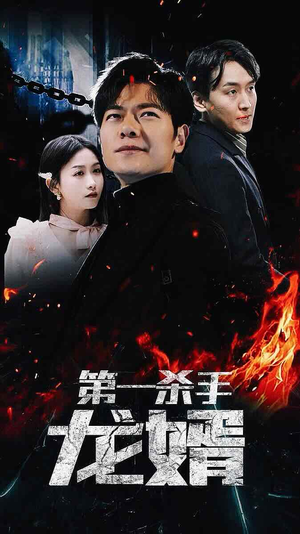 第一杀手龙婿(100集) 第一杀手龙婿(100集)在线观看