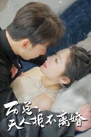 历总，夫人拒不离婚（61集）观看软件