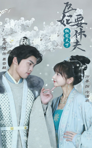 权宠天下：医妃要休夫（94集）精彩短剧下载