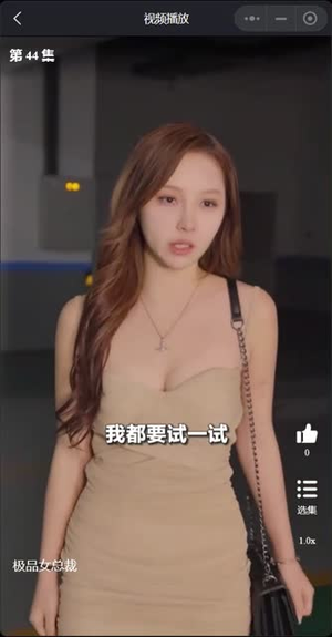 我的富豪美女总裁(我的极品女总裁) 我的富豪美女总裁(我的极品女总裁)在哪个平台看好