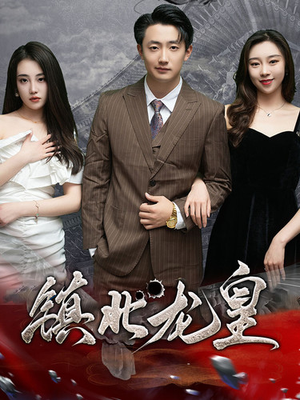 镇北龙帅(97集) 镇北龙帅(97集)我真的爱了