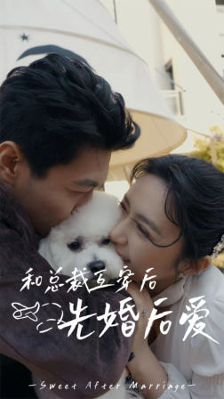 和总裁互穿后先婚后爱（60集）排行榜前十短剧