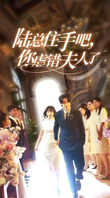 陆总住手吧,你虐错夫人了(80集) 陆总住手吧,你虐错夫人了(80集)热门了短剧
