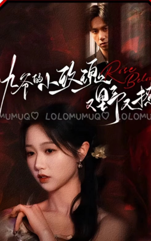 九爷的小玫瑰又野又撩(100集) 九爷的小玫瑰又野又撩(100集)短剧片段推荐