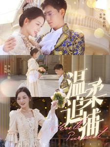 温柔追捕（89集）短剧