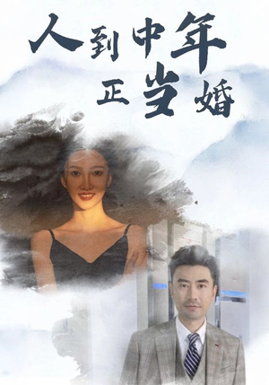 人到中年正当婚（81集）今日最火短剧