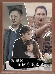 团圆饭手撕奇葩亲戚(40集) 团圆饭手撕奇葩亲戚(40集)短剧追不停