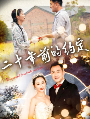 二十年前的约定（57集）红果短剧免费看