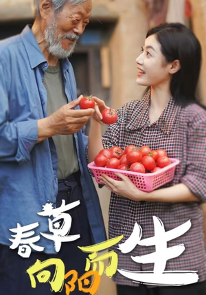 春草向阳而生(53集) 春草向阳而生(53集)短剧抢先看