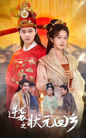 逆袭之状元回乡（60集）直接追到结尾