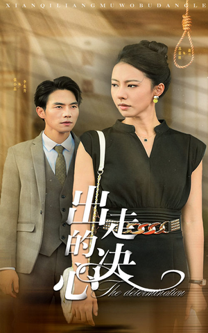 出走的决心（29集）高清画质免费看
