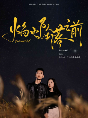 焰火坠落之前(99集) 焰火坠落之前(99集)正能量短剧分享