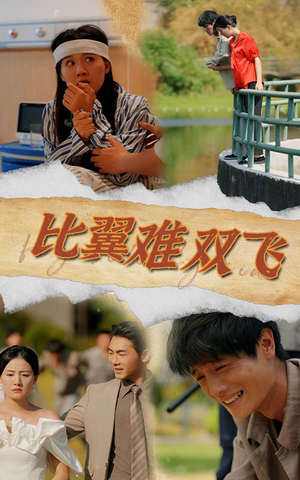 比翼难双飞(30集) 比翼难双飞(30集)短剧小说在线看