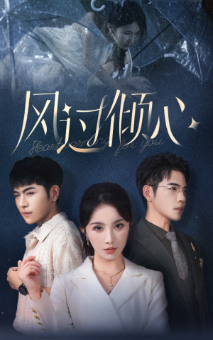 风过倾心（62集）短剧在哪个平台