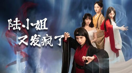 陆小姐又发疯了（28集）完整版