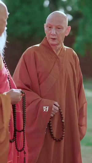 天下嵩山（29集）高质量短剧推荐