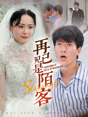 再见已是陌客(55集) 再见已是陌客(55集)高分佳作免费看