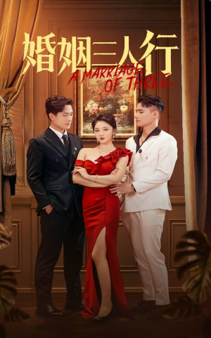 婚姻三人行(31集) 婚姻三人行(31集)全部免费看全集