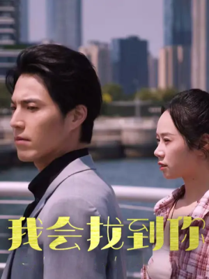 我会找到你(95集) 我会找到你(95集)全剧免费观看