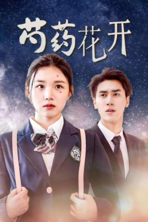 芍药花开(77集) 芍药花开(77集)免费观看