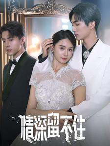 情深留不住(80集) 情深留不住(80集)热播短剧重燃