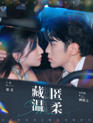 藏匿温柔(99集) 藏匿温柔(99集)女主角是谁