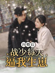 闪婚后战少每天逼我生崽(91集) 闪婚后战少每天逼我生崽(91集)经典老剧免费看