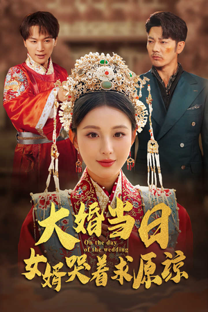 大婚当日，女婿哭着求原谅（31集）短剧热门推荐