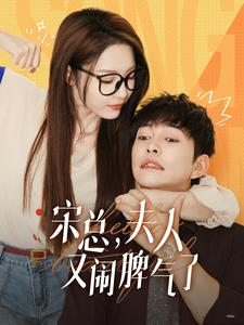 宋总，夫人又闹脾气了（60集）一个短剧看全集