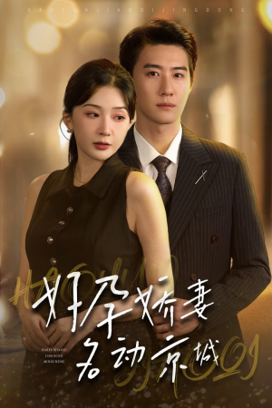 好孕娇妻名动京城（32集）百度在线观看