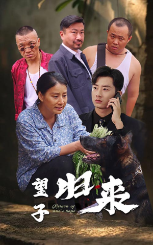望子归来(50集) 望子归来(50集)短剧热门分享