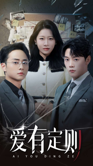 爱有定则(30集) 爱有定则(30集)1-102集