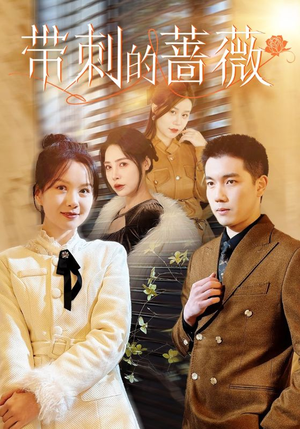 带刺的蔷薇（50集）全集一次看完