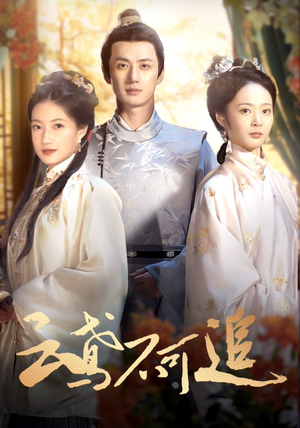 云鸢不可追(42集) 云鸢不可追(42集)热门了短剧