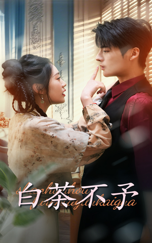 白茶不予（68集）我真的爱了