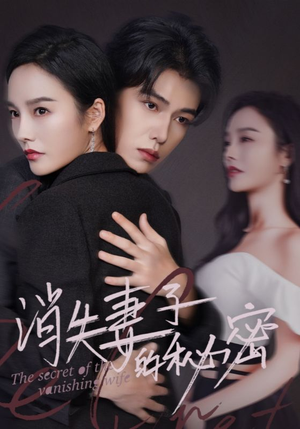 消失妻子的秘密(60) 消失妻子的秘密(60)全集我都看完了