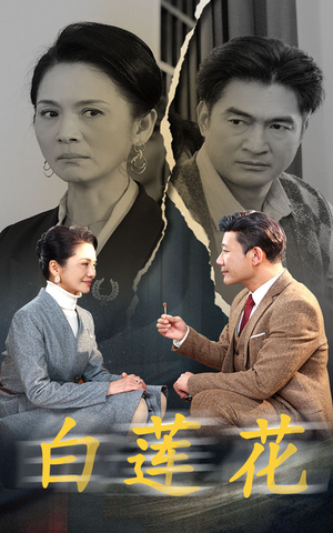白莲花(40集) 白莲花(40集)好看的国产短剧