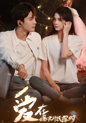 爱在曙光微露时(49集) 爱在曙光微露时(49集)河马免费短剧