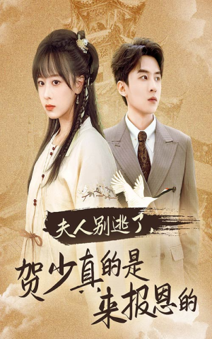 夫人别逃了贺少真的是来报恩的（63集）超爽短剧推荐